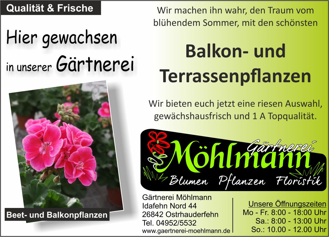 Hier gewachsen – B+B 2022 II